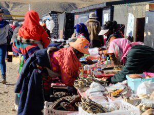 Tibet Kailash Tours, Your Complete Guide to Mount Kailash and Ngari Adventure