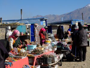 Tibet Kailash Tours, Your Complete Guide to Mount Kailash and Ngari Adventure