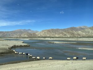 On the Way to and At Everest Base Camp: The Ultimate Himalayan Adventure