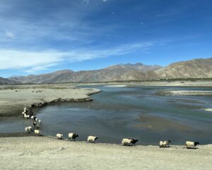 On the Way to and At Everest Base Camp: The Ultimate Himalayan Adventure