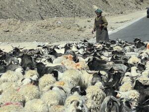 On the Way to and At Everest Base Camp: The Ultimate Himalayan Adventure