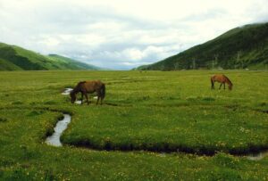 7-Day In-Depth Tibetan Tour Western Sichuan