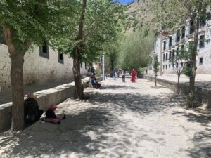 Sera Monastery: Witness the Ancient Art of Buddhist Debate in Lhasa