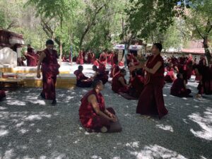 Sera Monastery: Witness the Ancient Art of Buddhist Debate in Lhasa