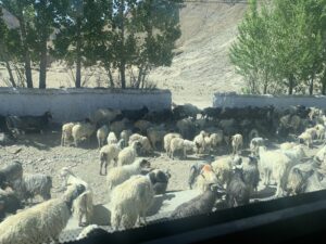 On the Way to and At Everest Base Camp: The Ultimate Himalayan Adventure