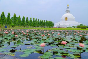 8-Day Nepal Tour Journey through Kathmandu, Chitwan, and Pokhara