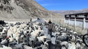 Tour to Everest Base Camp