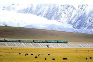 Journey of a Lifetime: The Unique Shanghai to Tibet Train Adventure