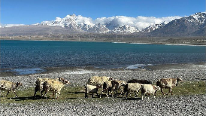 Experience Tibet Pekutso Lake