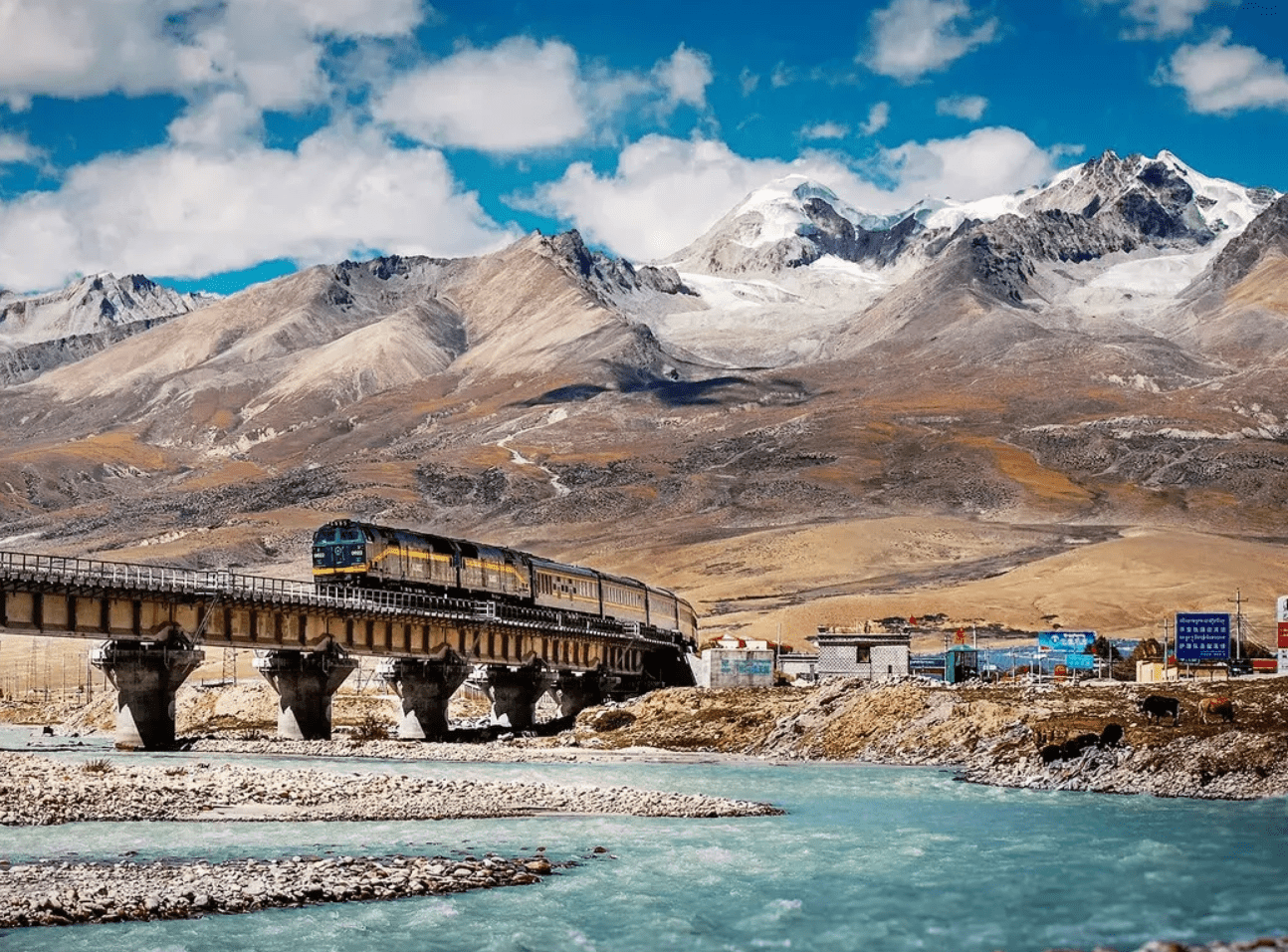 Curiosities of Tibet: 25 Fascinating Facts to Inspire Your Next Himalayan Adventure Experience Tibet Curiosities of Tibet: 25 Fascinating Facts to Inspire Your Next Himalayan Adventure
