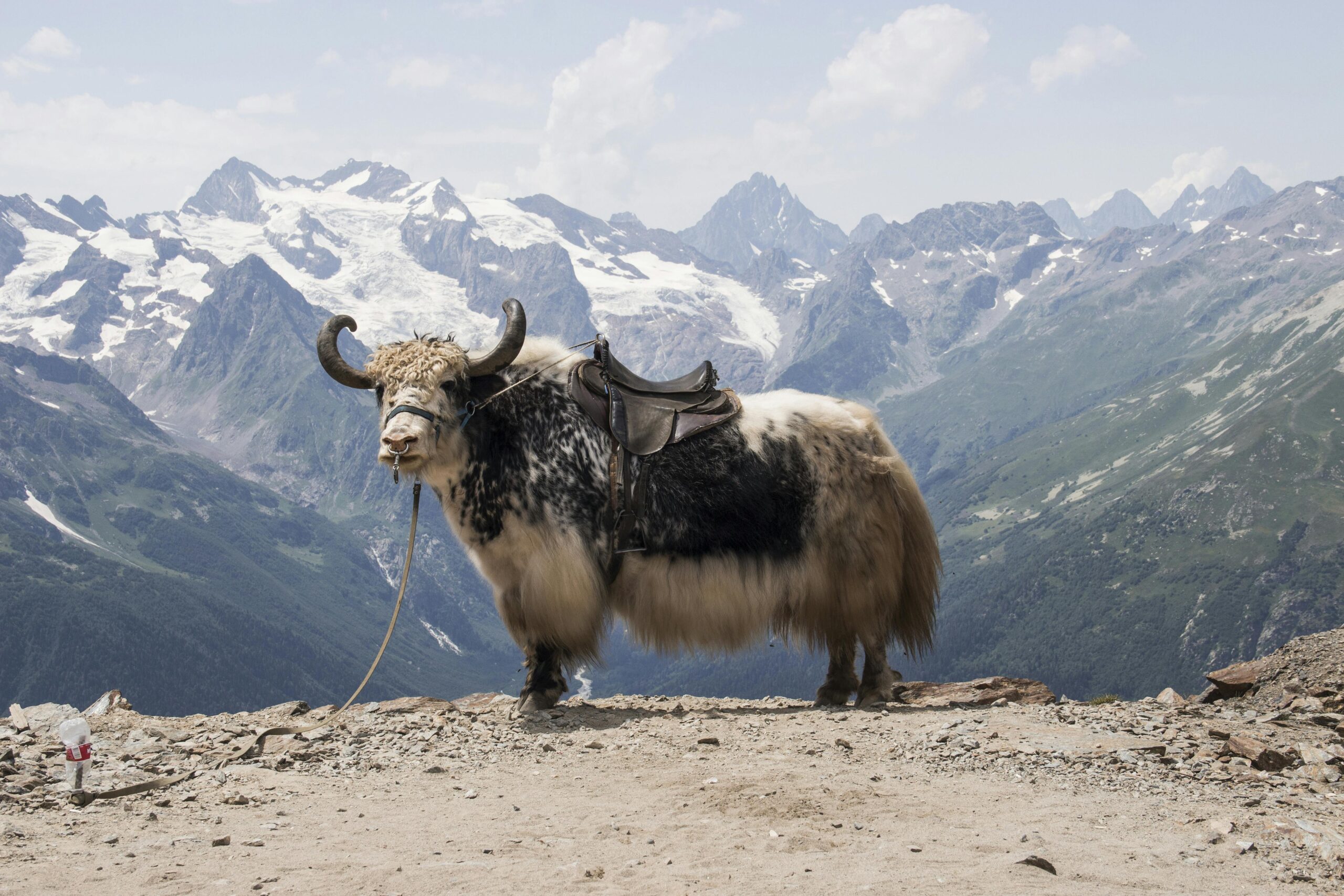 How to Visit Tibet in 2026: Complete, Safe and Ethical Guide for Foreign Travelers
