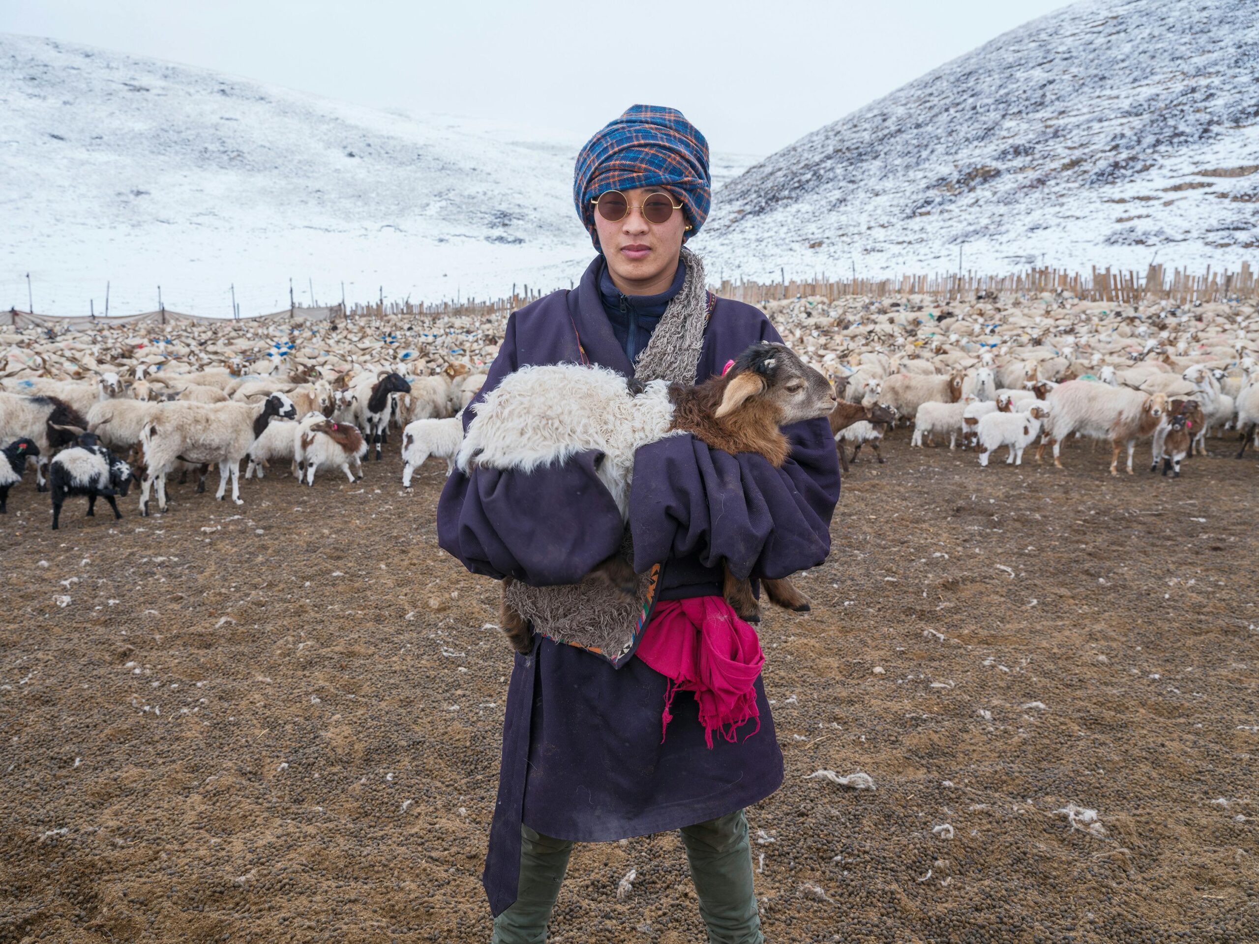 Curiosities of Tibet: 25 Fascinating Facts to Inspire Your Next Himalayan Adventure Experience Tibet Curiosities of Tibet: 25 Fascinating Facts to Inspire Your Next Himalayan Adventure