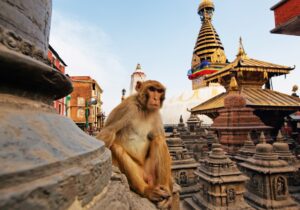 16-Day Tibet - Nepal - Bhutan Trans-Himalayan Tour