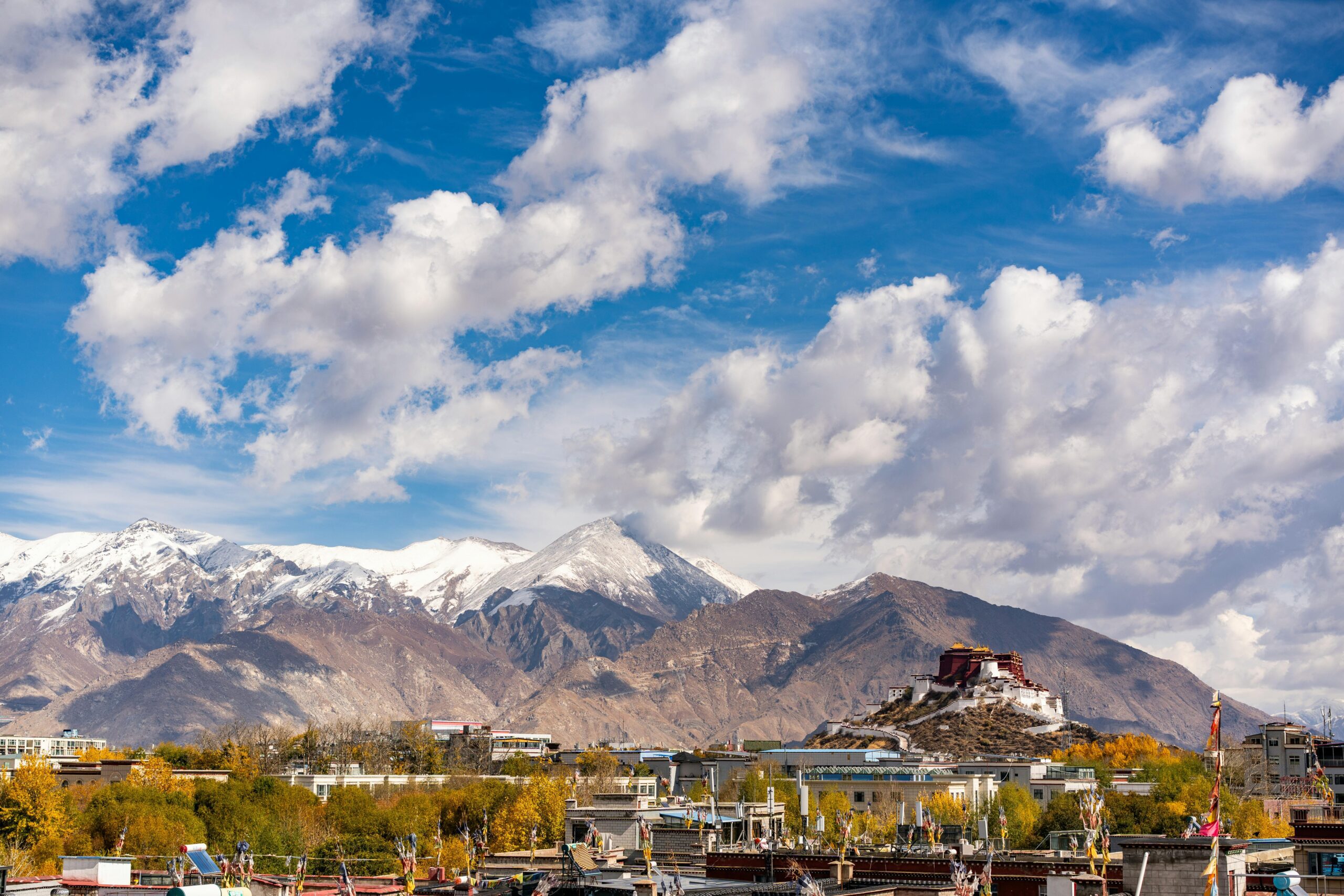 Auto Draft Experience Tibet Auto Draft