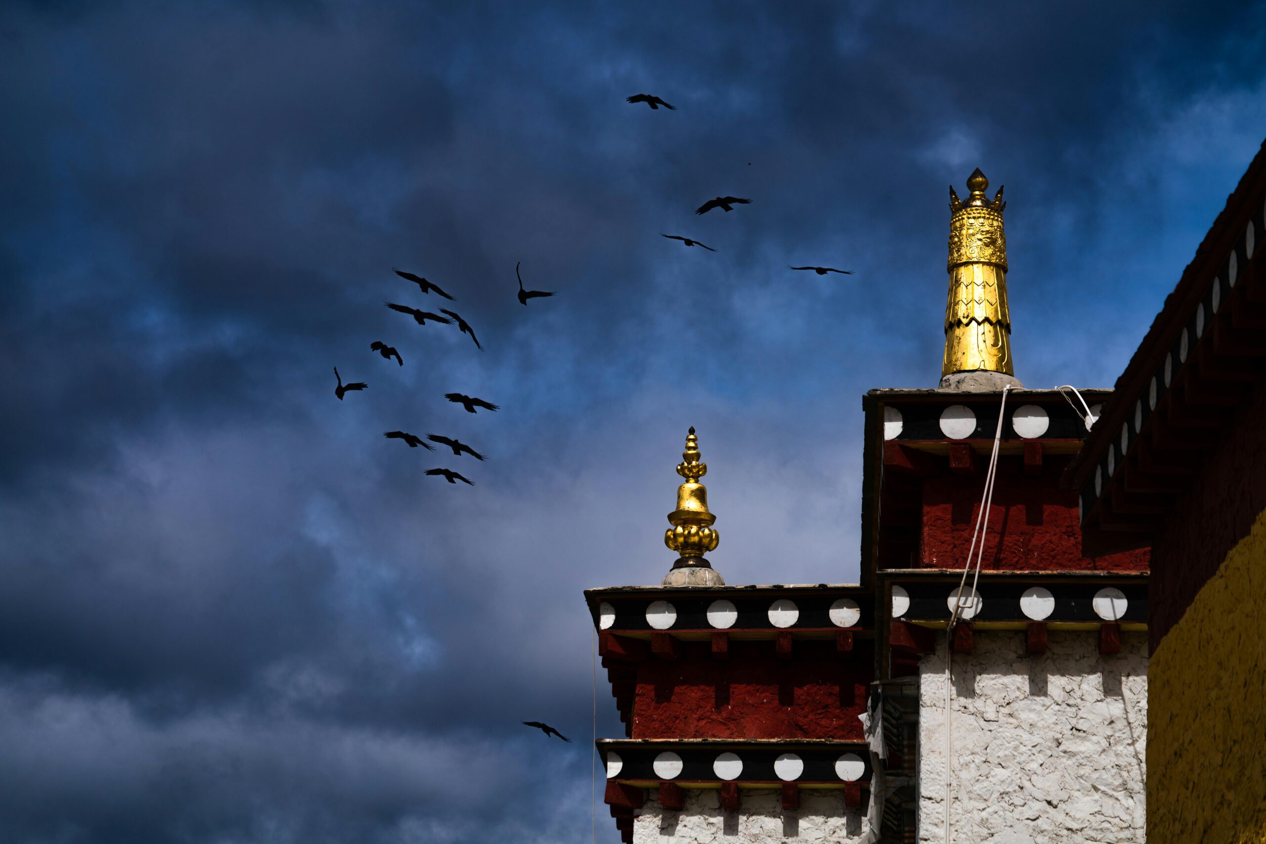 Potala Palace Potala Palace