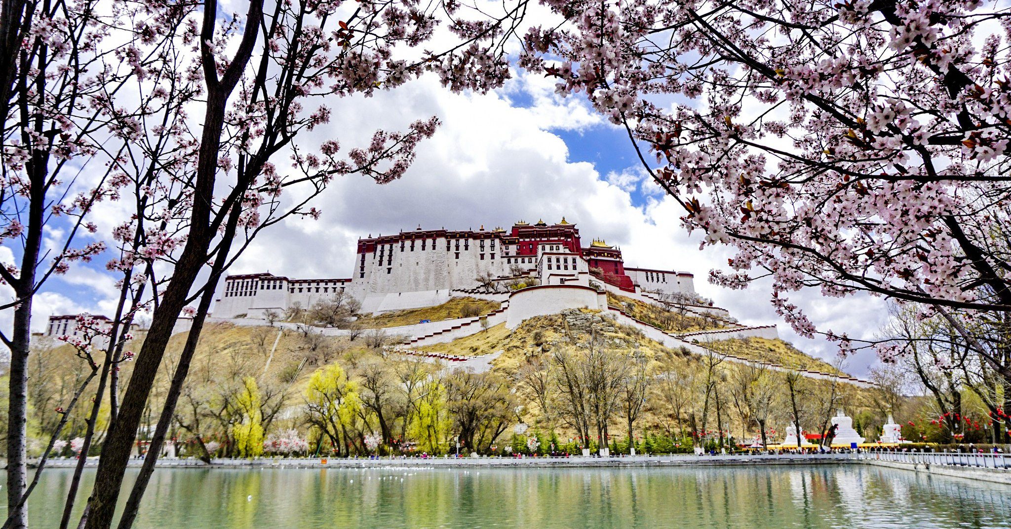 8 Days Nyingchi Peach Blossom Festival & Lhasa Discovery Tour Experience Tibet 8 Days Nyingchi Peach Blossom Festival & Lhasa Discovery Tour