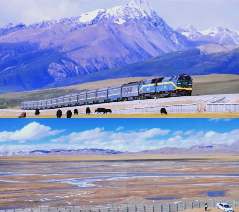 What to Expect on the Tibet Train: Cabins, Oxygen, Food, and Scenery Experience Tibet What to Expect on the Tibet Train: Cabins, Oxygen, Food, and Scenery