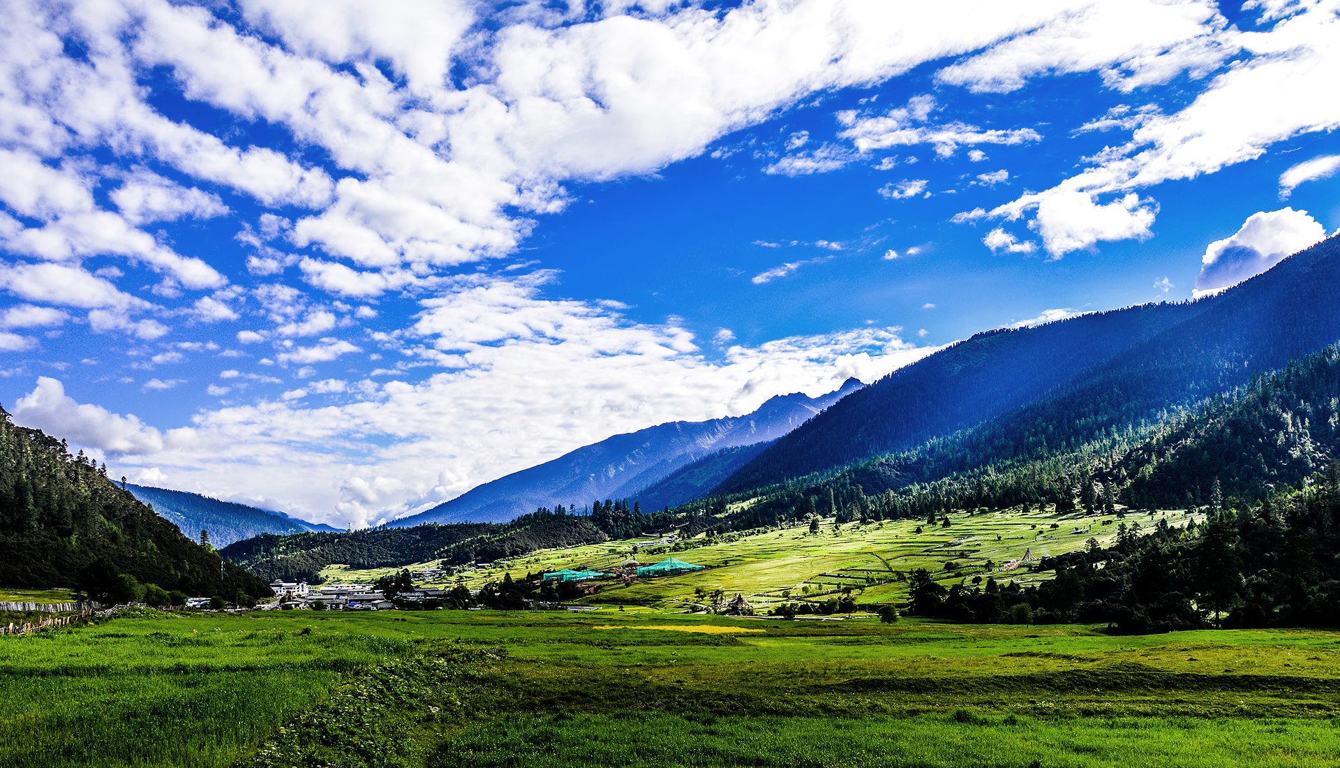 Experience Tibet Lulang Forest