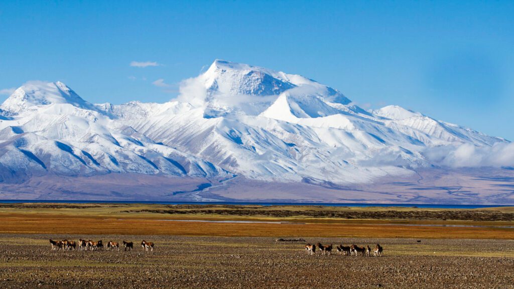 Mount Naimonanyi