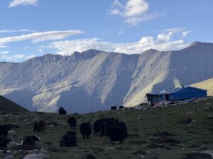 8-Day Ganden to Samye Tibet Trekking Tour