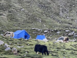 8-Day Ganden to Samye Tibet Trekking Tour