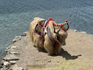 Photography Tibet Tours 2026: Best Dates & Gear Tips