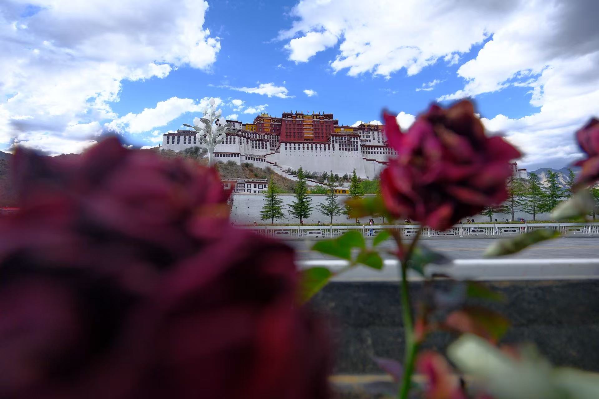 Photography Tibet Tours 2026: Best Dates & Gear Tips
