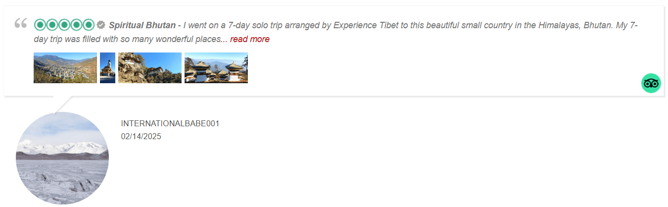 Reviews1