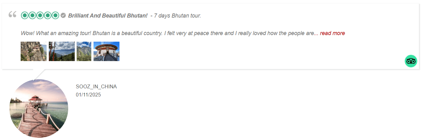 Reviews4