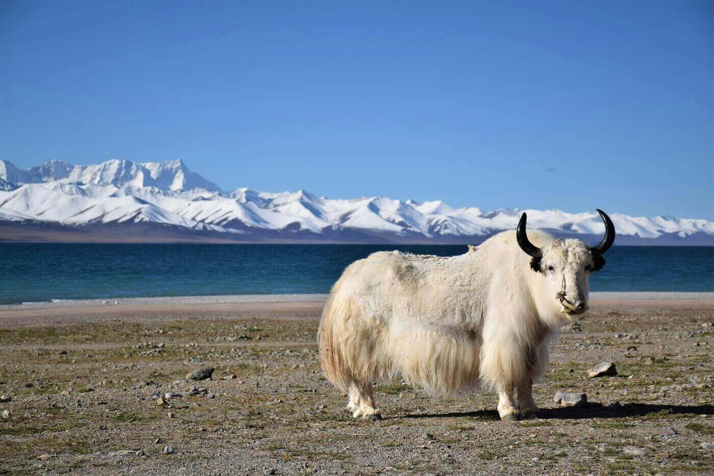 Packing for Tibet: The Ultimate Checklist