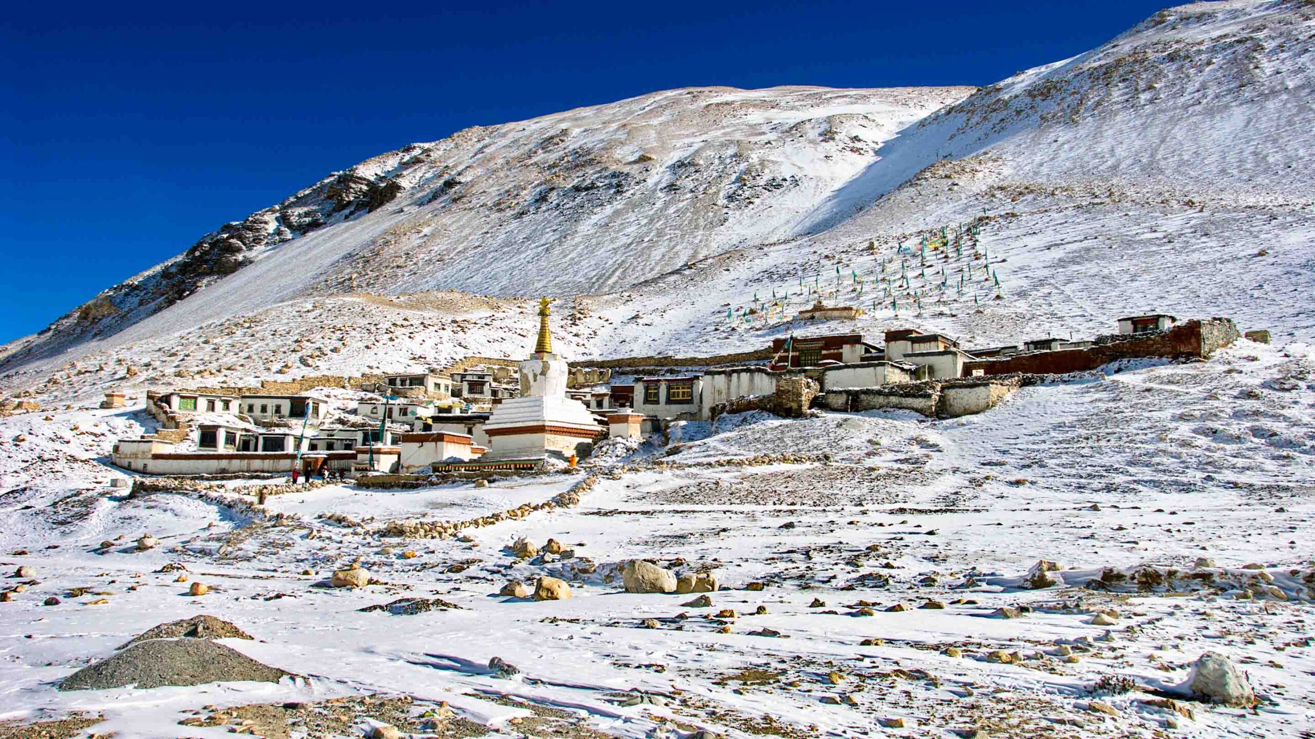 10-Day Chengdu to Tibet Train Tour