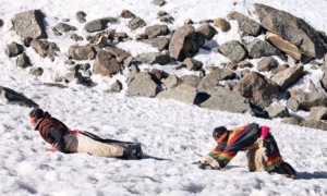 2026: The Year of the Horse — A Once-in-12-Years Mount Kailash Pilgrimage Tour