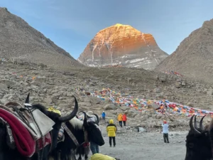 2026: The Year of the Horse — A Once-in-12-Years Mount Kailash Pilgrimage Tour