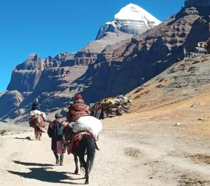 2026: The Year of the Horse — A Once-in-12-Years Mount Kailash Pilgrimage Tour