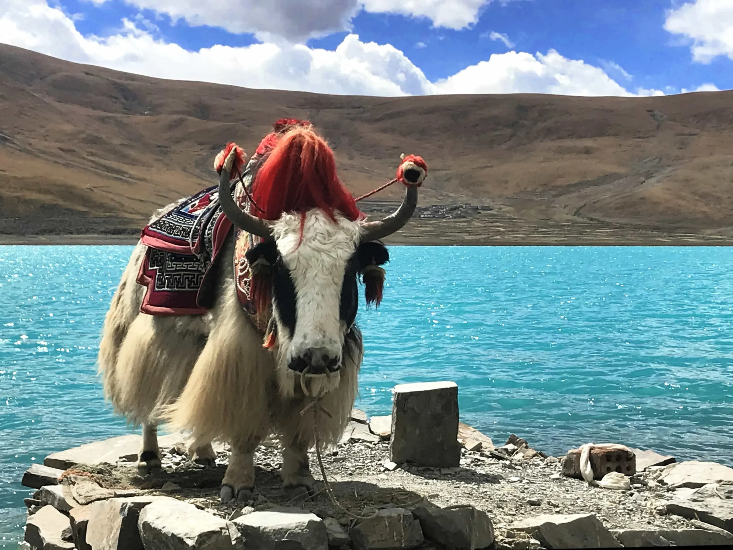 Is It Safe to Travel to Tibet in 2026? (Real Risks + How to Travel Safely) Experience Tibet Is It Safe to Travel to Tibet in 2026? (Real Risks + How to Travel Safely)