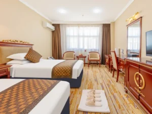 17-Day Mt Kailash & Guge Kingdom Tour from Lhasa