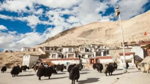 17-Day Mt Kailash & Guge Kingdom Tour from Lhasa