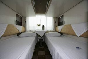 Qinghai Tibet Railway train 5