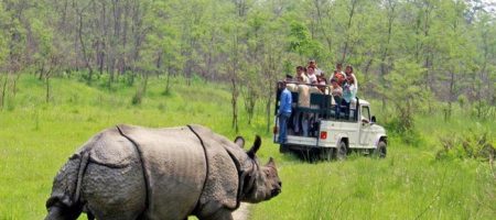 8-Day Nepal Tour Journey through Kathmandu, Chitwan, and Pokhara