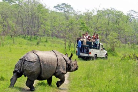 8-Day Nepal Tour Journey through Kathmandu, Chitwan, and Pokhara