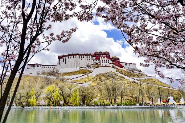 8 Days Nyingchi Peach Blossom Festival & Lhasa Discovery Tour Experience Tibet 8 Days Nyingchi Peach Blossom Festival & Lhasa Discovery Tour