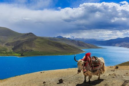Yamdrok Yumco Lake
